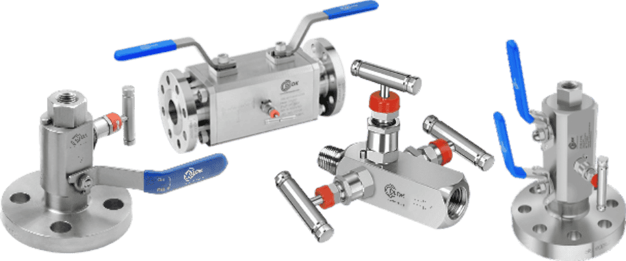 Block and Bleed Valves